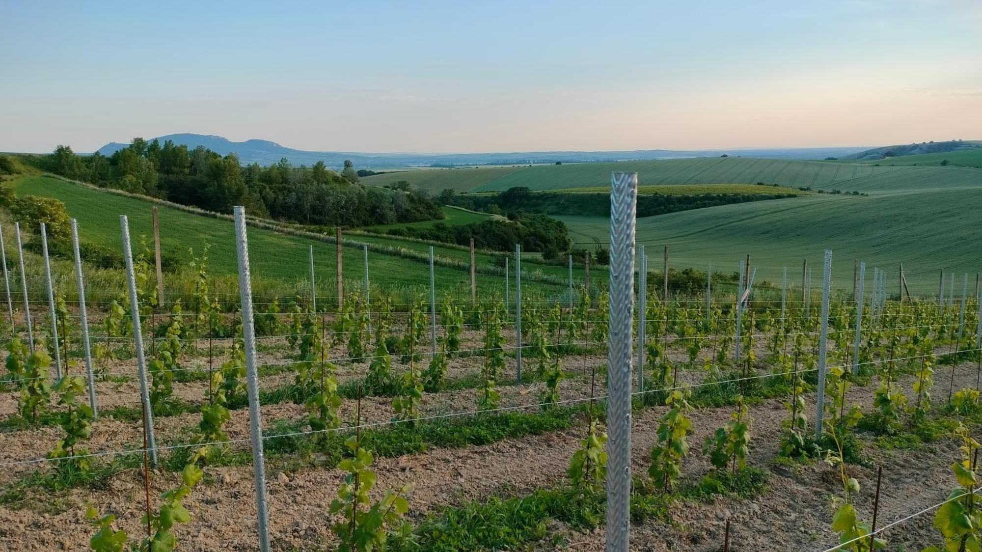 Penzion Schwarzava Uhercice  Exteriér fotografie